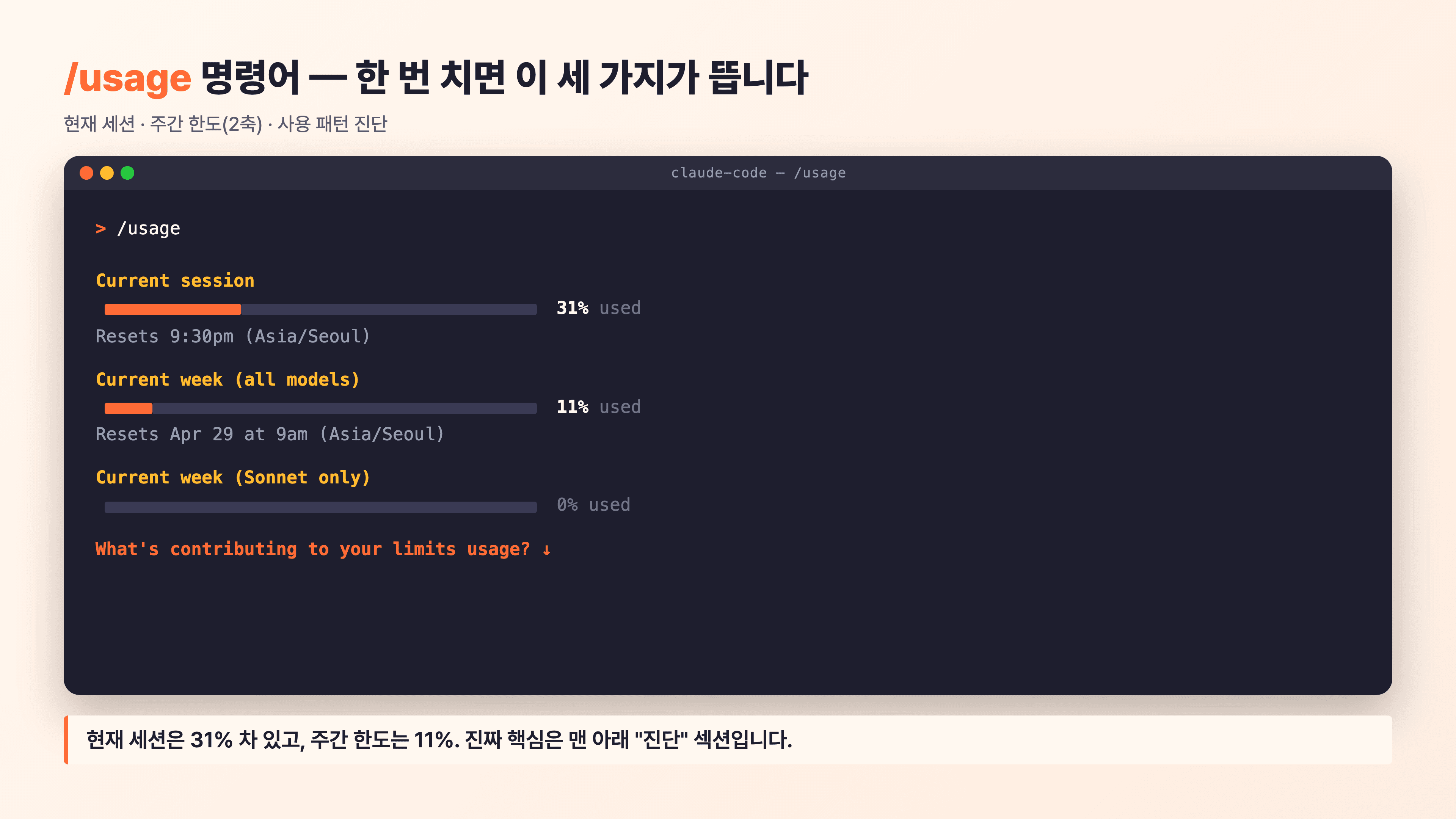 실제 /usage 명령어 출력 — 현재 세션, 주간 사용량, 사용 패턴 진단