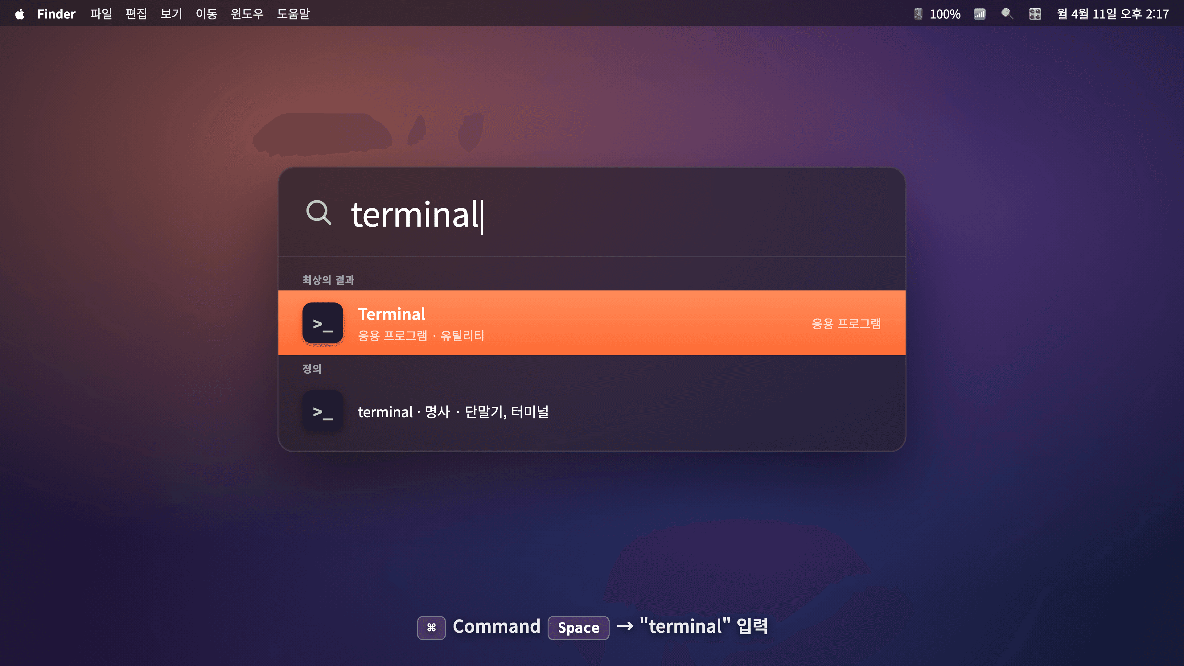 Spotlight 검색에서 terminal 입력