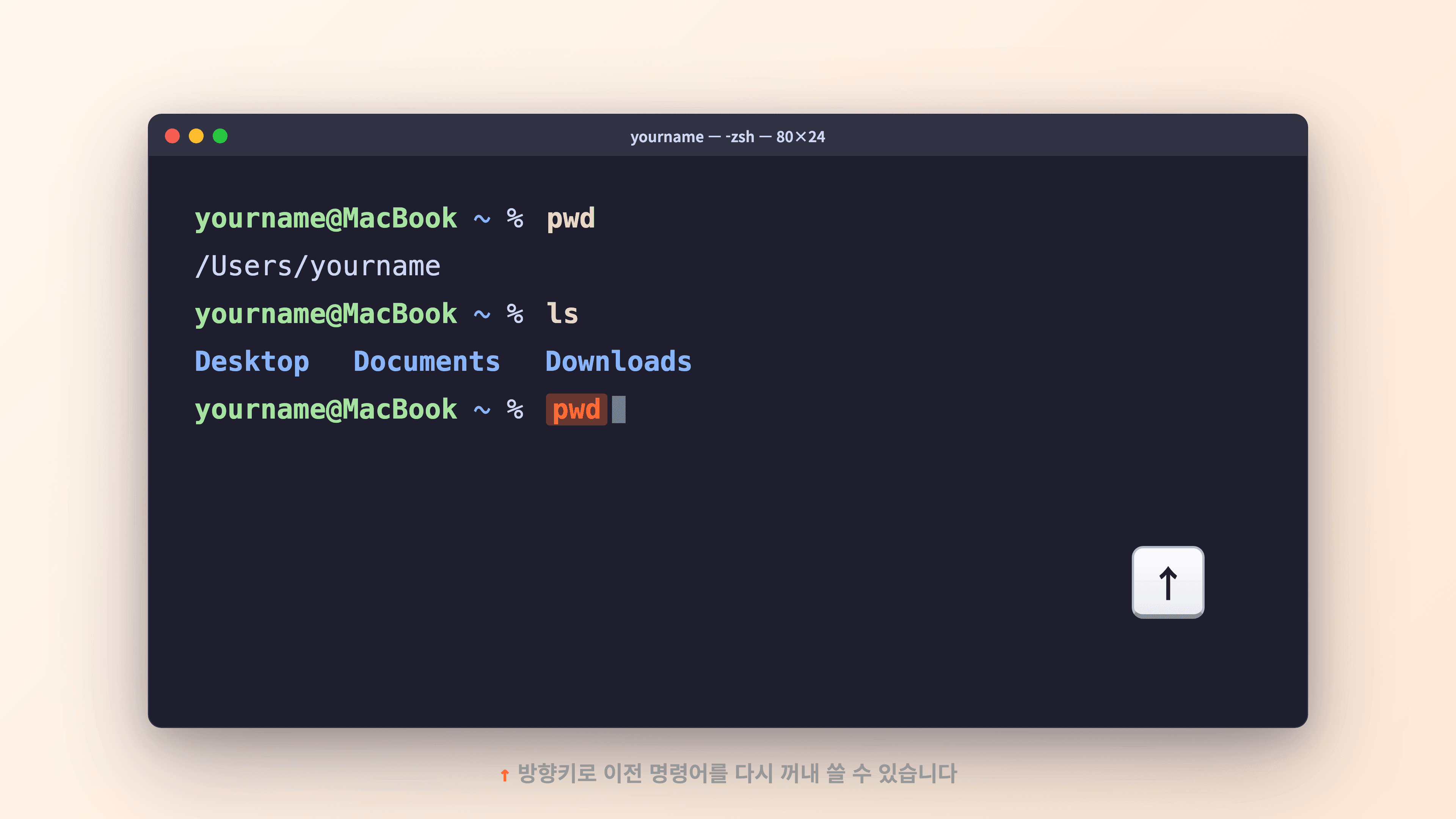 ↑ 방향키로 이전 명령어가 올라오는 모습