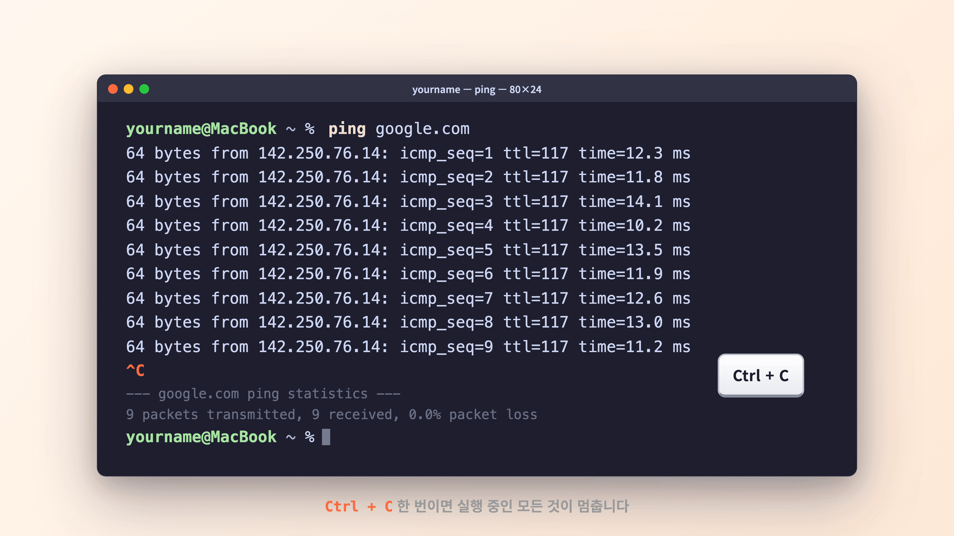 글자가 쏟아지다가 Ctrl+C로 멈춘 터미널