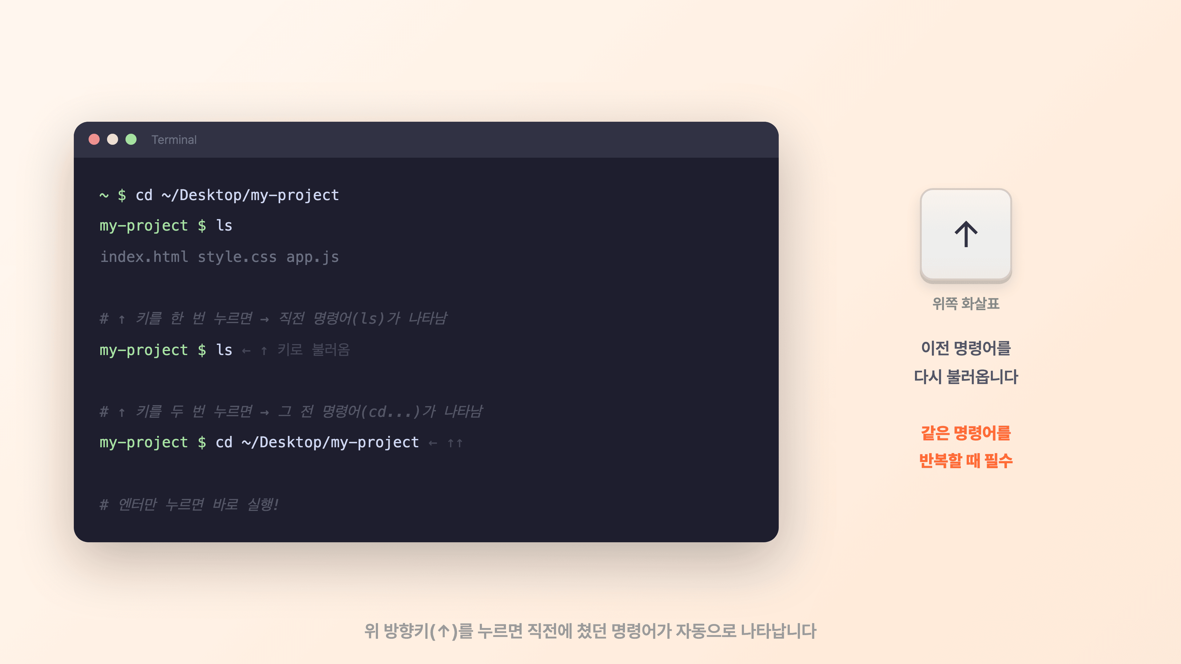 위 방향키(↑)를 누르면 직전 명령어가 자동으로 나타납니다