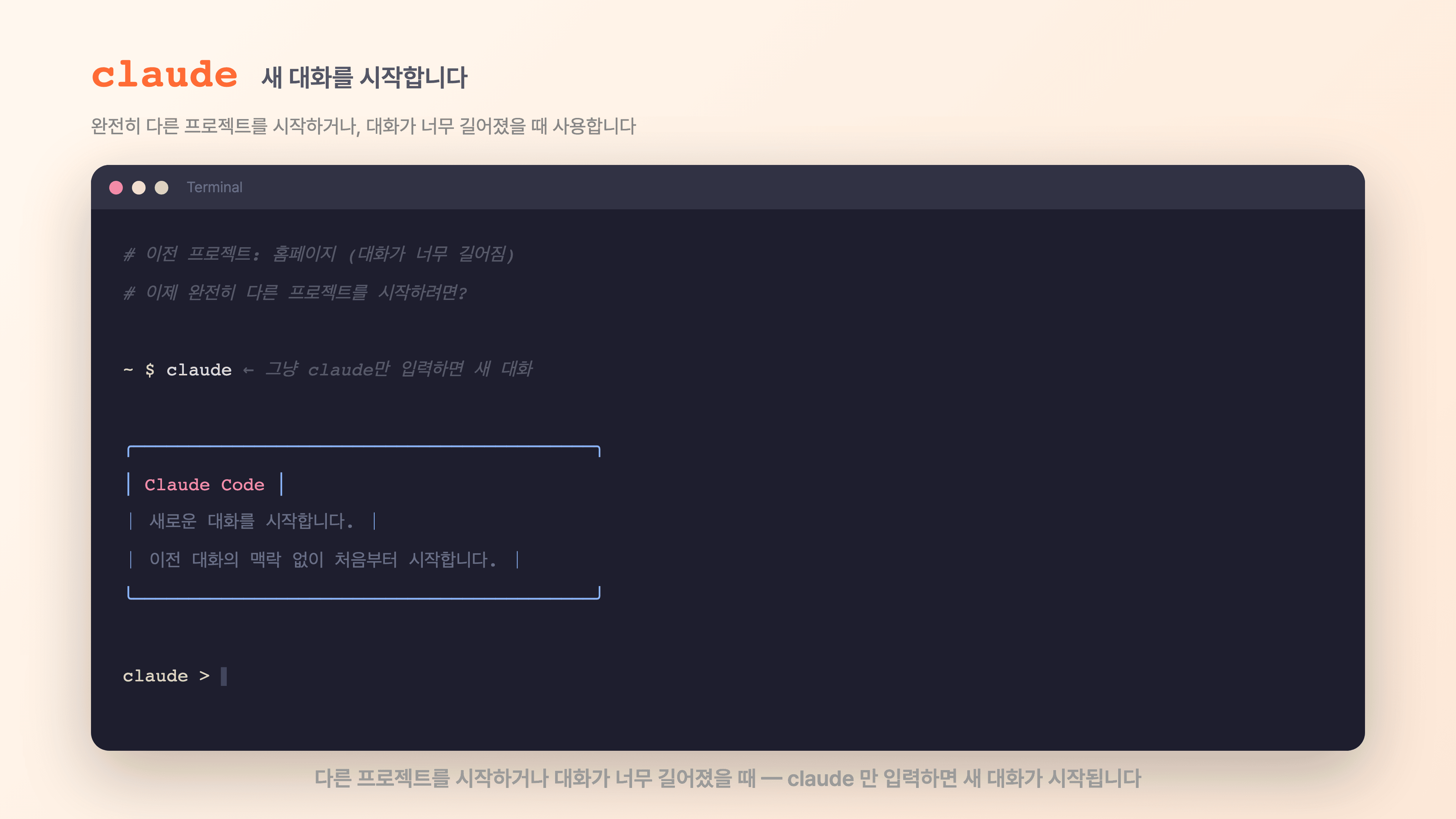 새 대화를 시작하려면 claude만 입력합니다