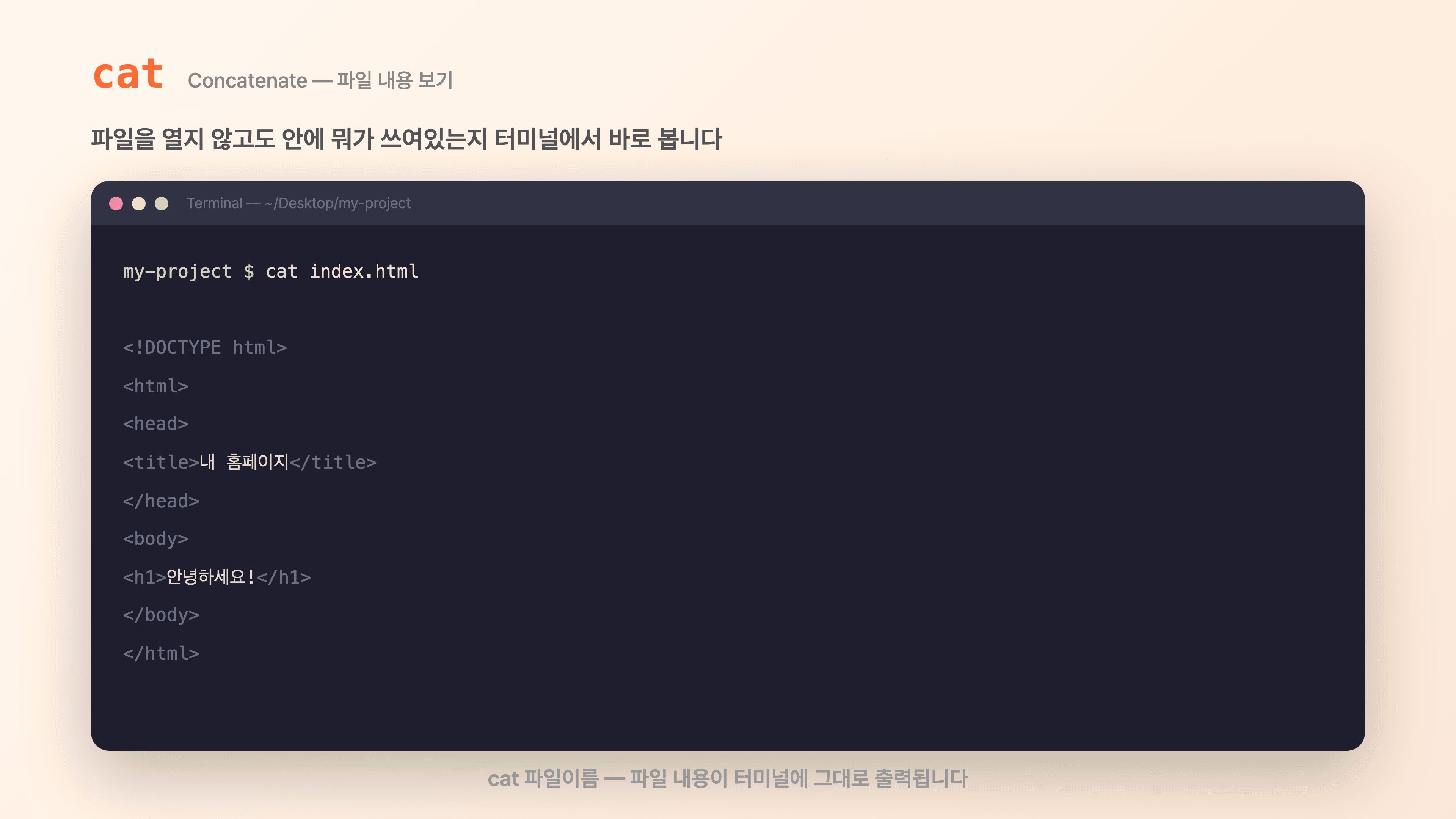 cat 명령어로 파일 내용을 터미널에서 바로 확인하는 모습